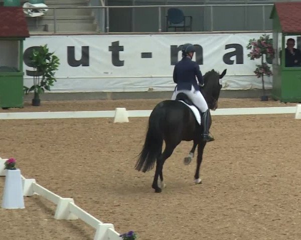 Reitturnier Kreuth/Opf. 2019