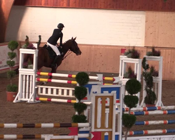 Reitturnier Hövelhof 2019