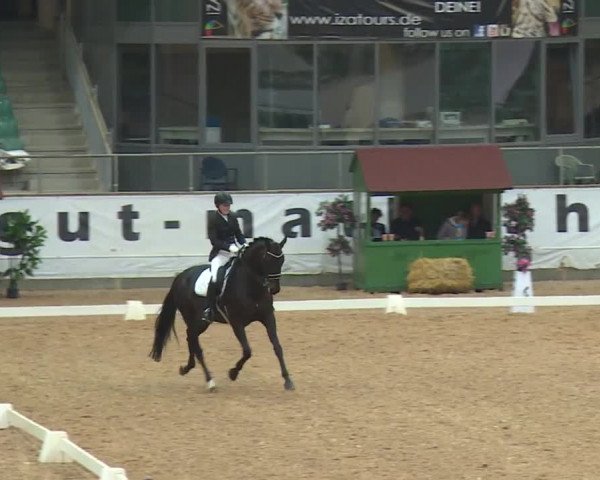 Reitturnier Kreuth/Opf. 2019