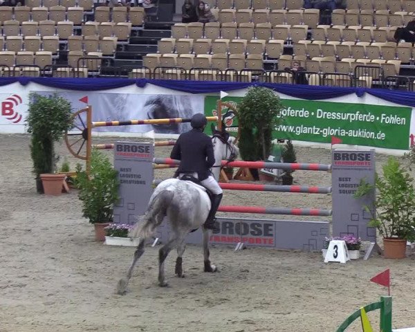 Reitturnier Neumünster 2019