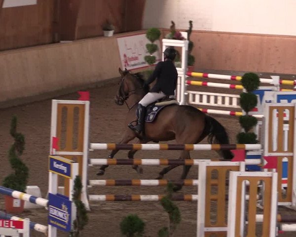 Reitturnier Hövelhof 2019