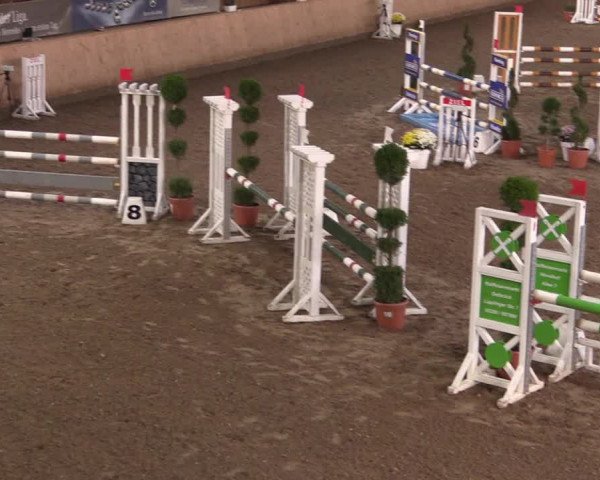 Reitturnier Hövelhof 2019