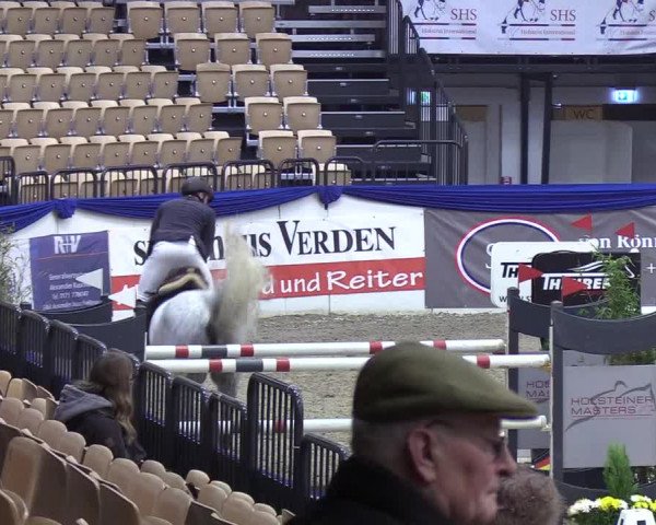 Reitturnier Neumünster 2019