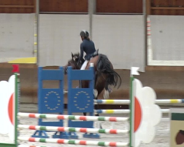 Reitturnier Tremsdorf, Eichenhof 2019
