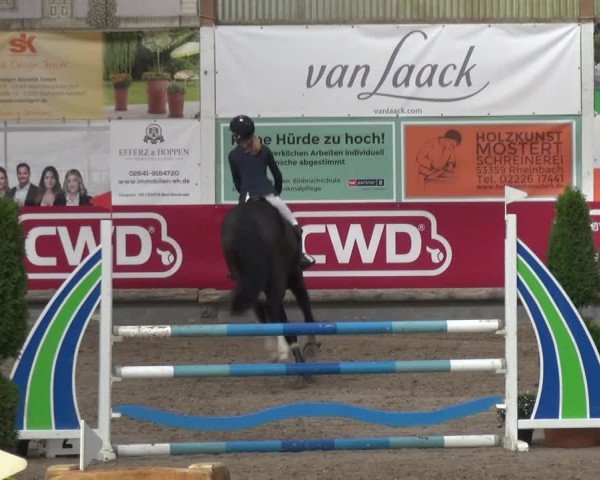 Reitturnier Wachtberg-Adendorf 2019