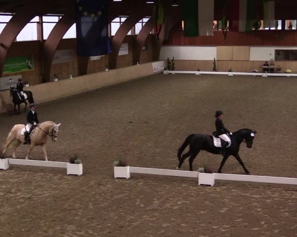 Reitturnier Hövelhof 2019