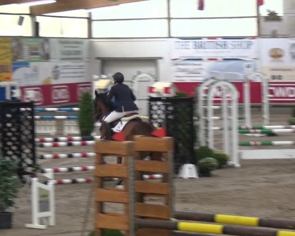 Reitturnier Wachtberg-Adendorf 2019