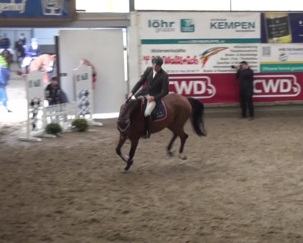 Reitturnier Wachtberg-Adendorf 2019