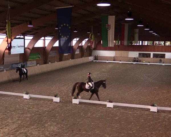 Reitturnier Hövelhof 2019