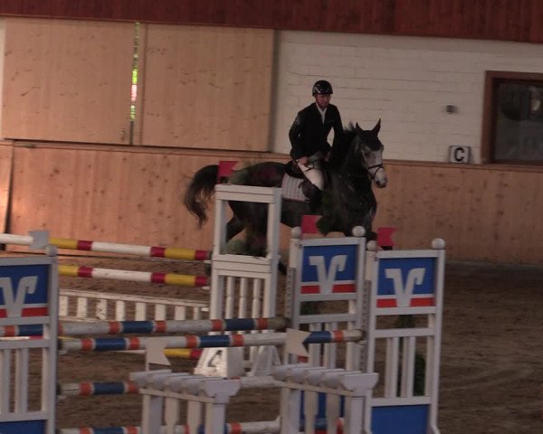 Reitturnier Hövelhof 2019