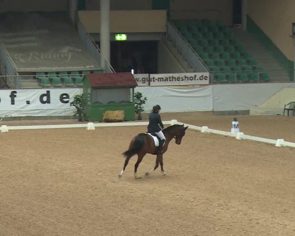 Reitturnier Kreuth/Opf. 2019