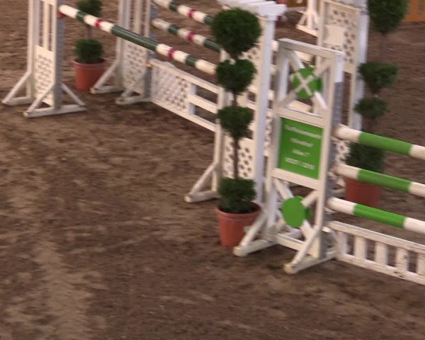 Reitturnier Hövelhof 2019