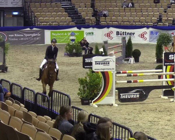 Reitturnier Neumünster 2019