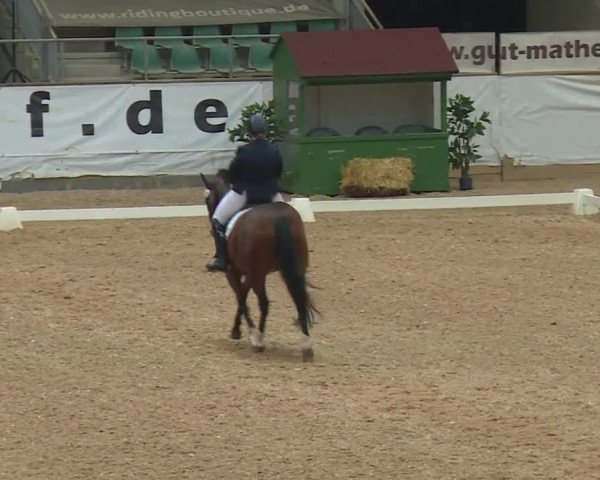 Reitturnier Kreuth/Opf. 2019
