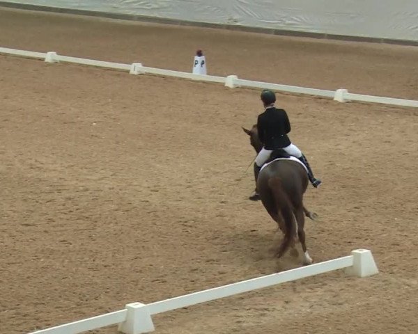 Reitturnier Kreuth/Opf. 2019