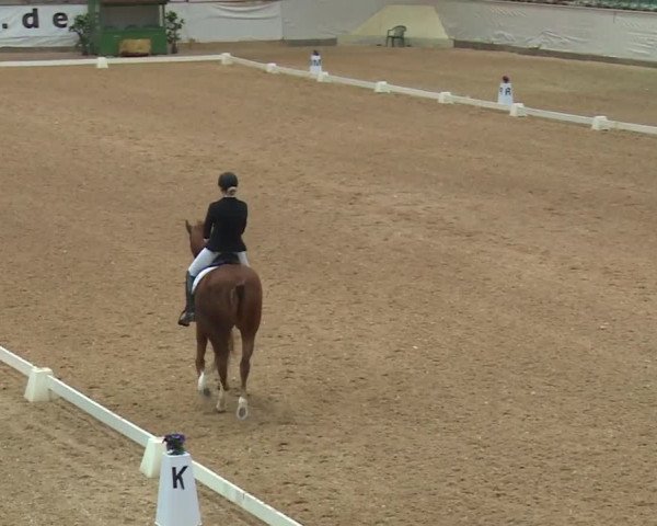 Reitturnier Kreuth/Opf. 2019