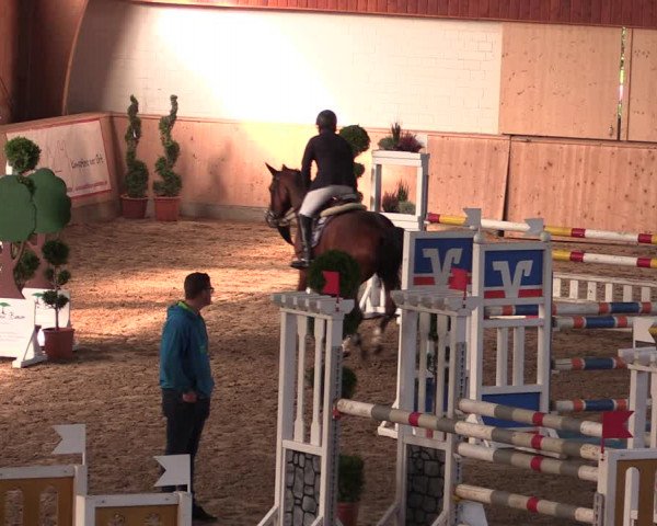 Reitturnier Hövelhof 2019