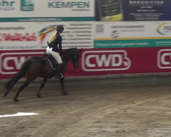 Reitturnier Wachtberg-Adendorf 2019
