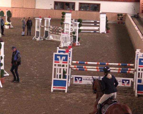 Reitturnier Hövelhof 2019