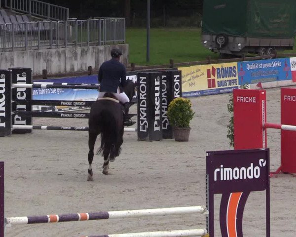 Reitturnier Westergellersen 2021