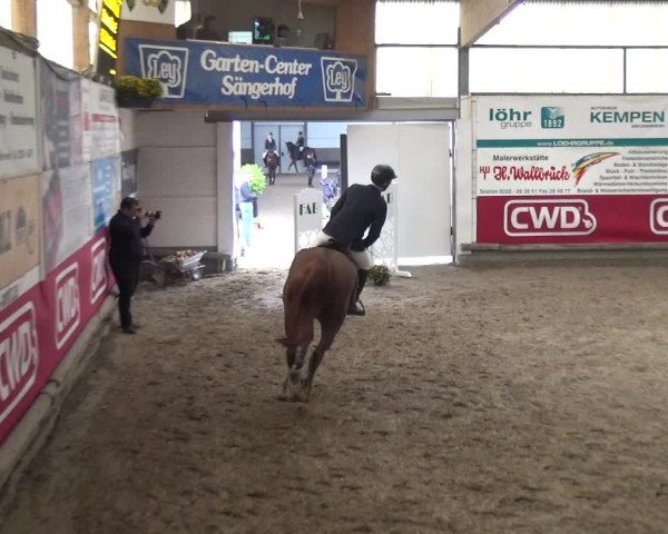 Reitturnier Wachtberg-Adendorf 2019