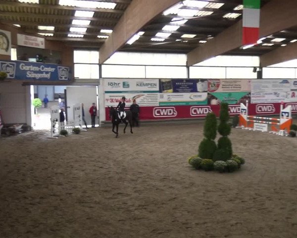 Reitturnier Wachtberg-Adendorf 2019