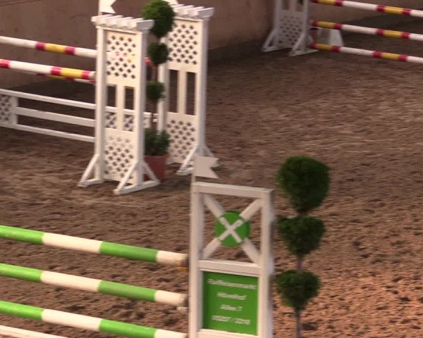 Reitturnier Hövelhof 2019
