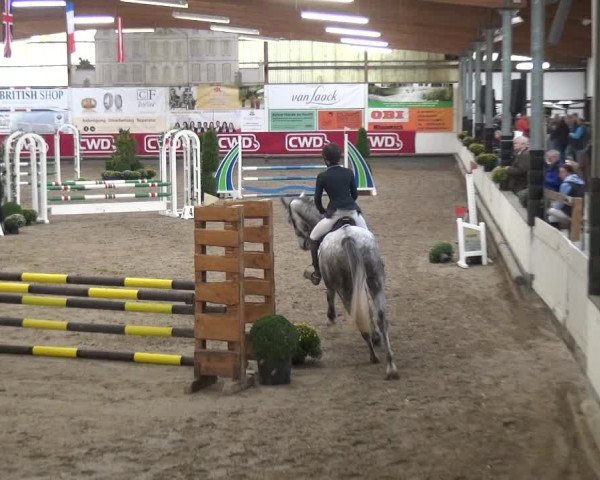 Reitturnier Wachtberg-Adendorf 2019