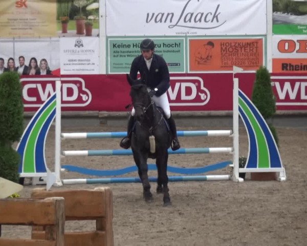 Reitturnier Wachtberg-Adendorf 2019