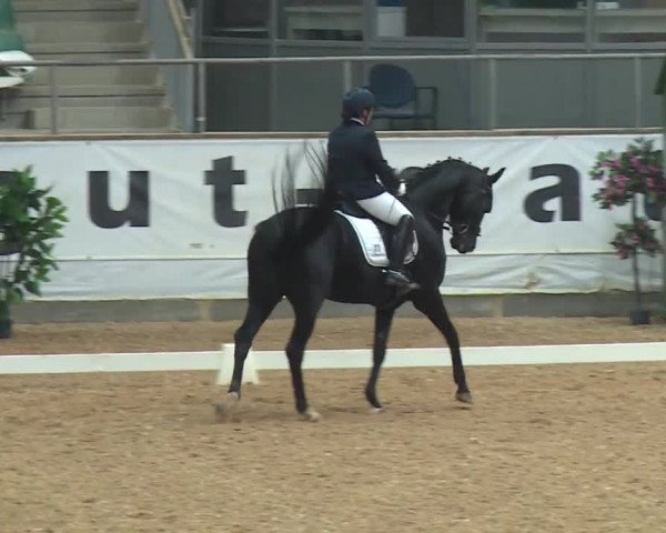 Reitturnier Kreuth/Opf. 2019