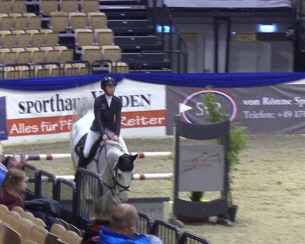 Reitturnier Neumünster 2019