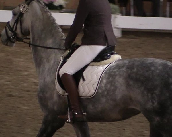 Reitturnier Hövelhof 2019