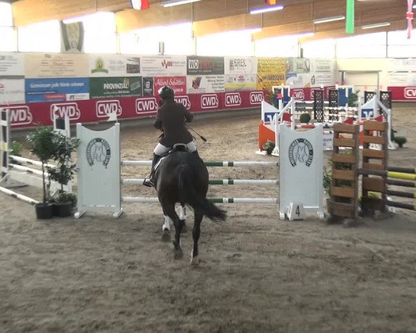 Reitturnier Wachtberg-Adendorf 2019