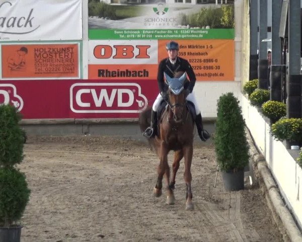 Reitturnier Wachtberg-Adendorf 2019