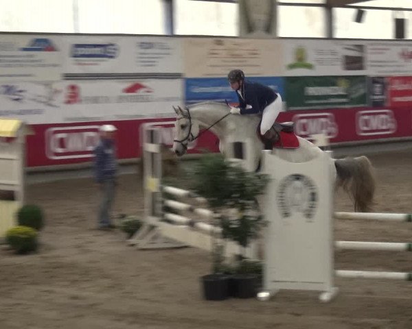 Reitturnier Wachtberg-Adendorf 2019