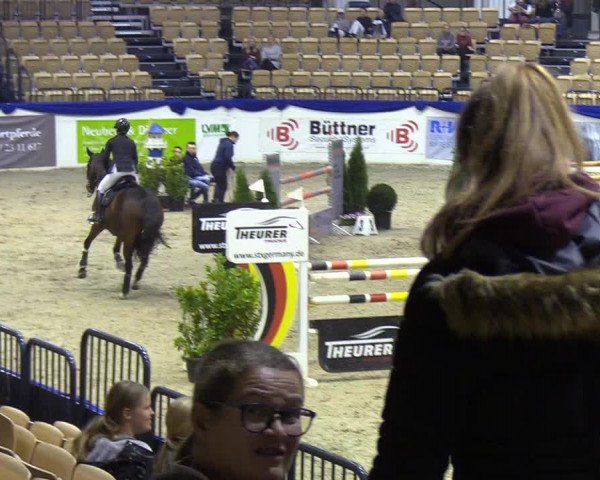 Reitturnier Neumünster 2019