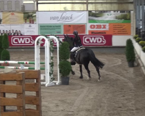 Reitturnier Wachtberg-Adendorf 2019
