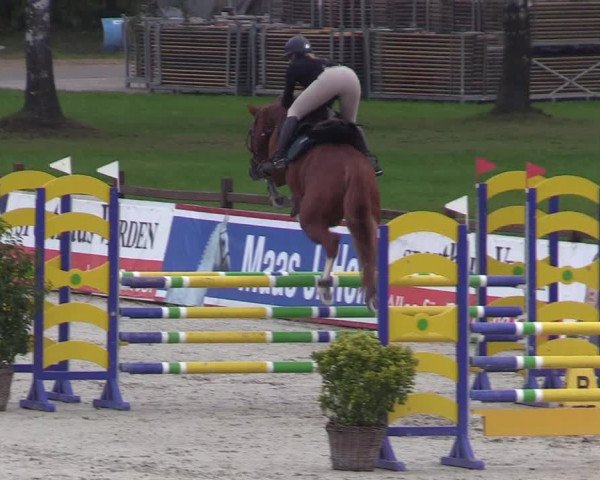 Reitturnier Westergellersen 2021