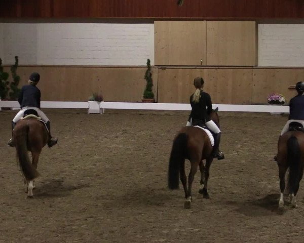 Reitturnier Hövelhof 2019