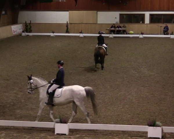 Reitturnier Hövelhof 2019