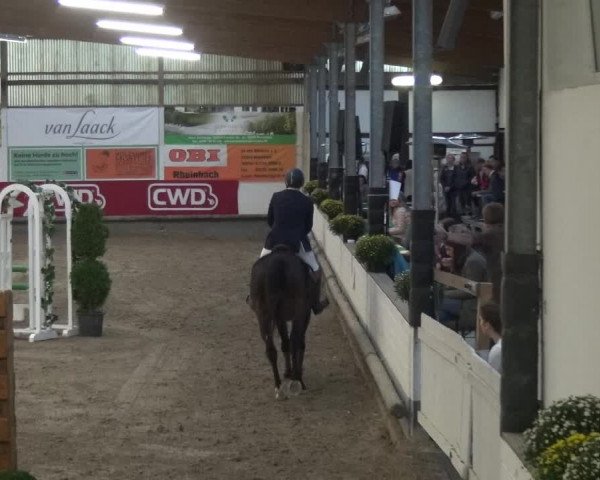 Reitturnier Wachtberg-Adendorf 2019