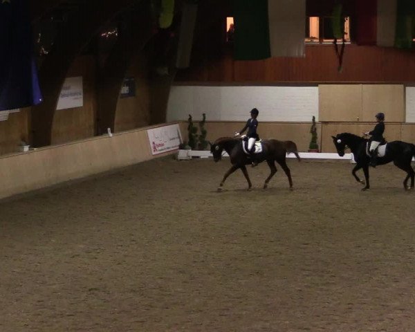 Reitturnier Hövelhof 2019