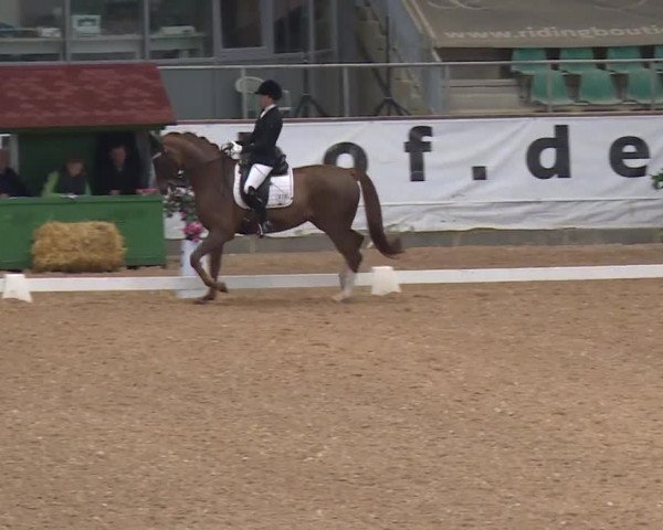 Reitturnier Kreuth/Opf. 2019