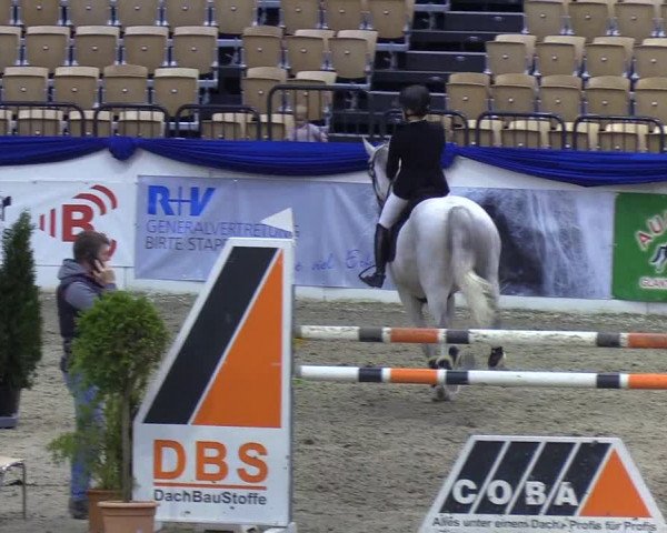 Reitturnier Neumünster 2019