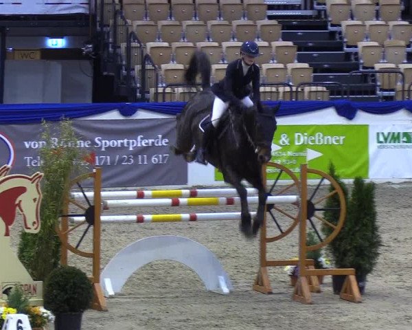 Reitturnier Neumünster 2019