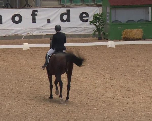 Reitturnier Kreuth/Opf. 2019