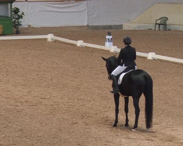 Reitturnier Kreuth/Opf. 2019