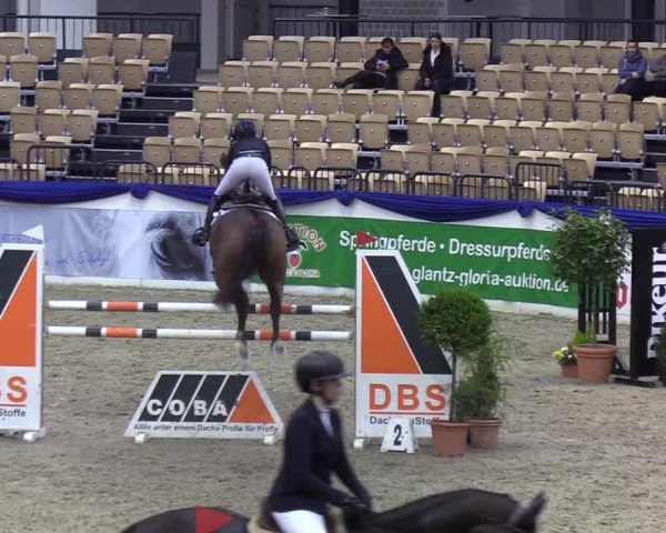 Reitturnier Neumünster 2019