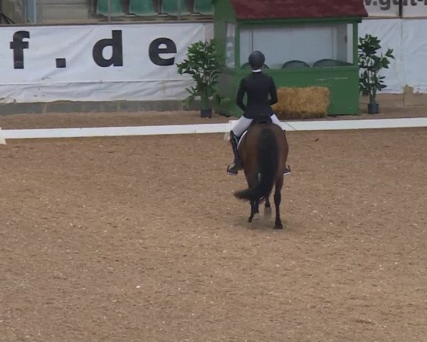 Reitturnier Kreuth/Opf. 2019