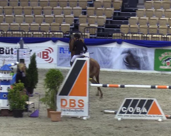 Reitturnier Neumünster 2019